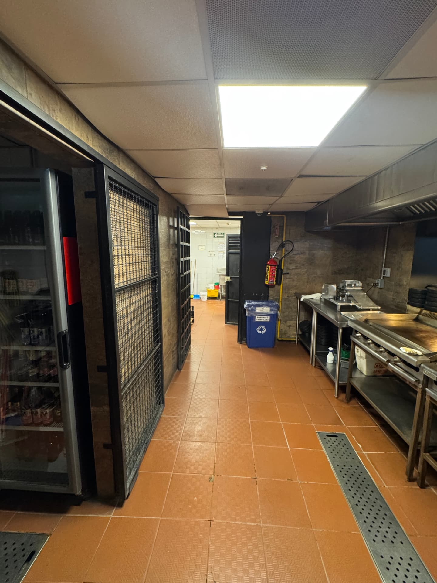 Cocina industrial con campana y plancha